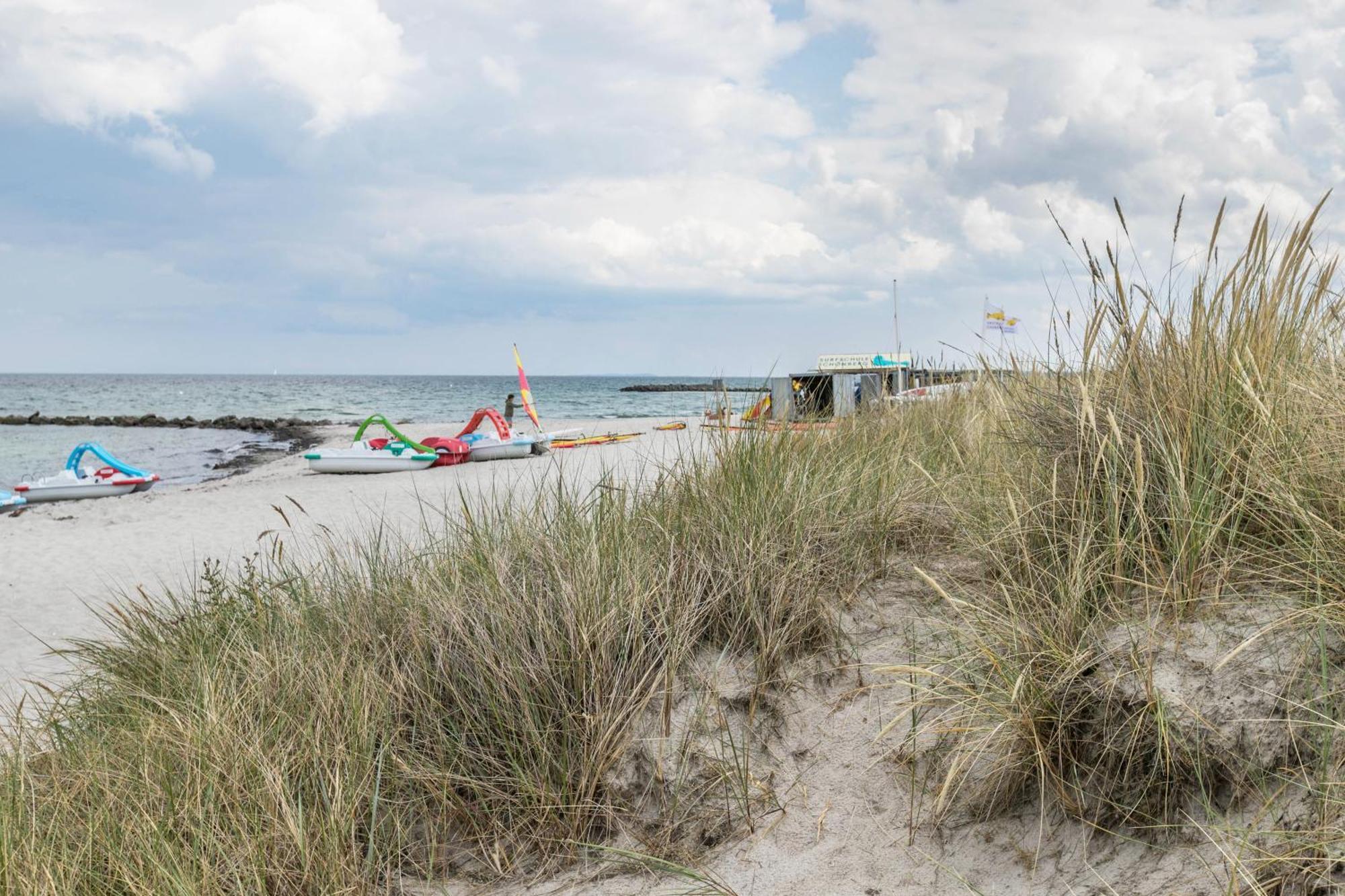 Treibholz - Feriendomizil Ostsee Schonberger Strand Eksteriør bilde