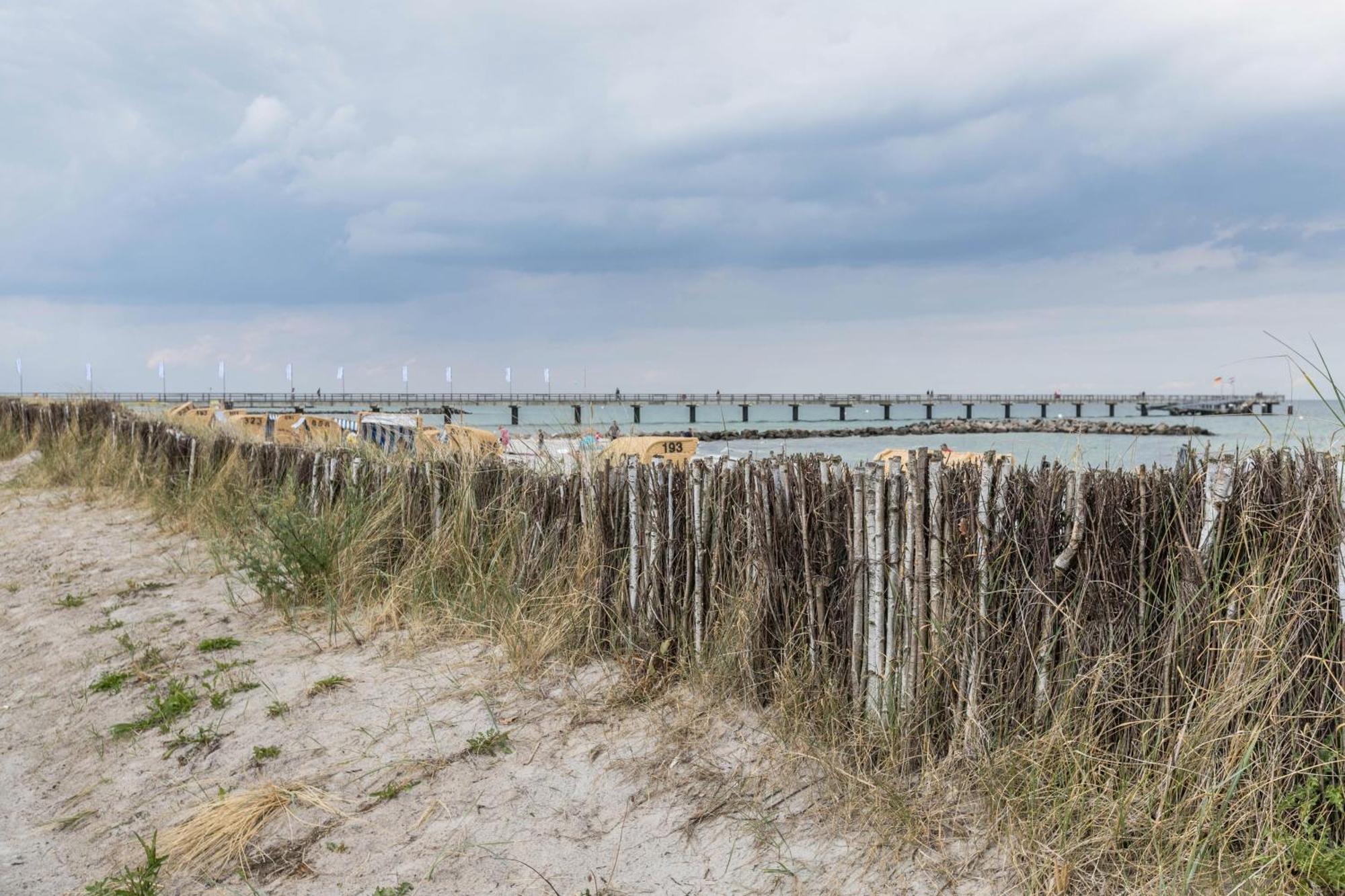 Treibholz - Feriendomizil Ostsee Schonberger Strand Eksteriør bilde